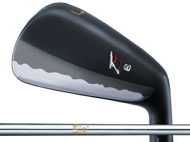 Takumi Japan (匠ジャパン) TYPE T アイアン 5-Pw　N.S.PRO 850GHシャフト