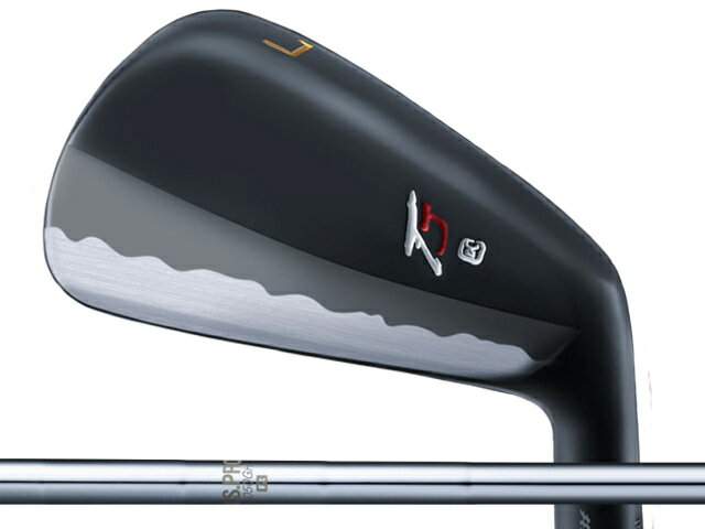 Takumi Japan (匠ジャパン) TYPE T アイアン 5-Pw　N.S.PRO 1050GH/1150GH TOURシャフト