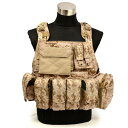 FLYYE MOLLE Style PC Plate Carrier with Pouch set AOR1