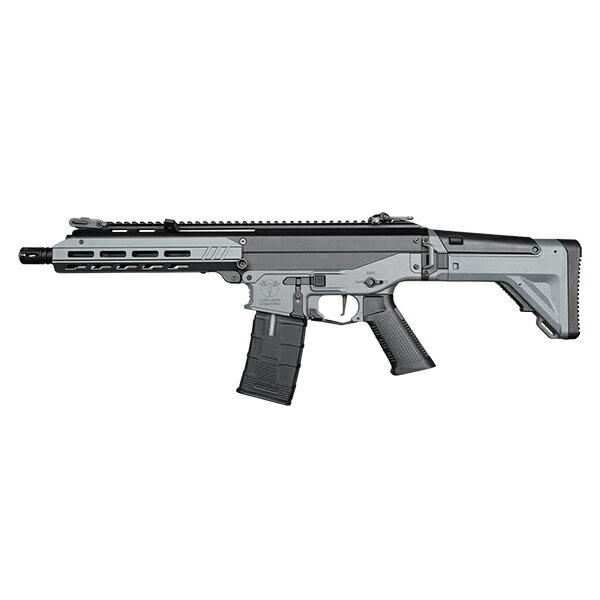 icsimg232s31-1.jpg