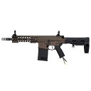 ARES × AMOEBA AR308S HPAライフル 【ガンケース付き】【数量限定 販売開始記念価格】