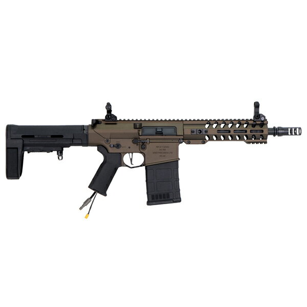 ARES × AMOEBA AR308S HP...の紹介画像2