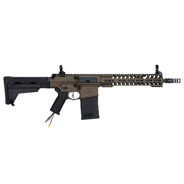 ARES × AMOEBA AR308M HP...の紹介画像2