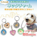 【即日出荷対応 ペット用迷子札(ワンちゃんイラスト)】 名札 犬 名入れ無料 ギフトラッピング無料 メール便送料無料