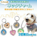 【3営業日出荷 ペット用迷子札(ワンちゃんイラスト) 】名札 犬 名入れ無料 ギフトラッピング無料 メール便送料無料