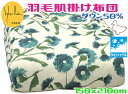 シビラダウンケット ダウン50%グリーン シングルロングウォッシャブル 羽毛肌掛けふとん 洗えるミステリオ 150x210 ブランド ライン オールシーズン 夏掛け布団 肌布団 おしゃれ 増量 ダウン多め 春 夏 一年中 羽毛肌掛け かわいい 洗濯可能