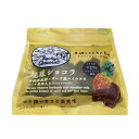琉球ショコラ パイン果肉 35g 南西産業 6個までメール便可 【月間優良ショップ】