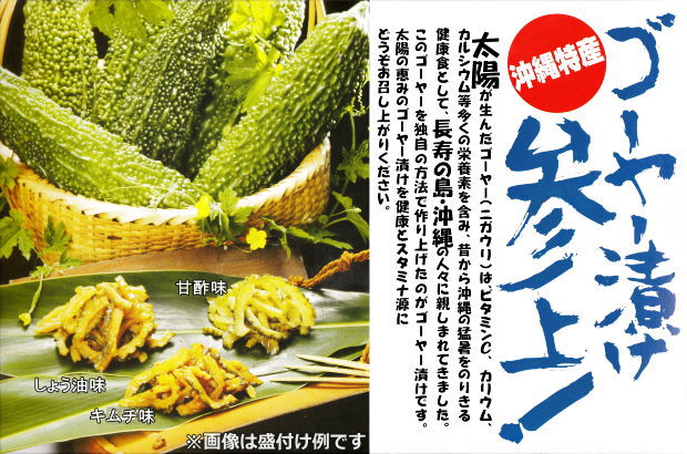 4個までメール便可 ゴーヤー漬 醤油 150g サンフルーツ【月間優良ショップ】