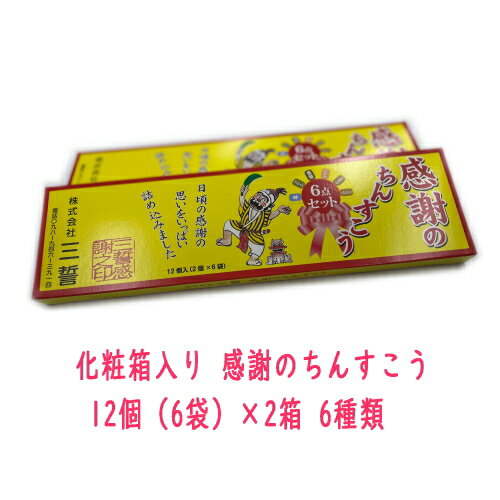 化粧箱入り 感謝のちんすこう 12個（6袋）×2箱 6種類（プレーン、黒糖、塩、ココナッツ、バナナ、シークヮサー） メール便送料無料【月間優良ショップ】