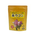 春ウコン 500粒 比嘉製茶【月間優良ショップ】