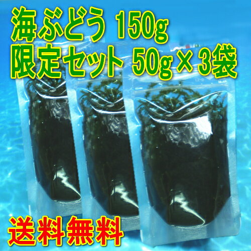 【ポイント20倍】【タレ付】メール便送料無料・代引不可・150g 沖縄県産 海ぶどう 50g×3袋 化粧箱なし【smtb-MS】【沖縄 土産 沖縄土産 沖縄お土産】【月間優良ショップ】