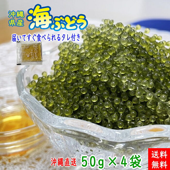 沖縄県産 感謝の海ぶどう 50g×4袋 タレ付 化粧箱なし ネコポス便送料無料【月間優良ショップ】