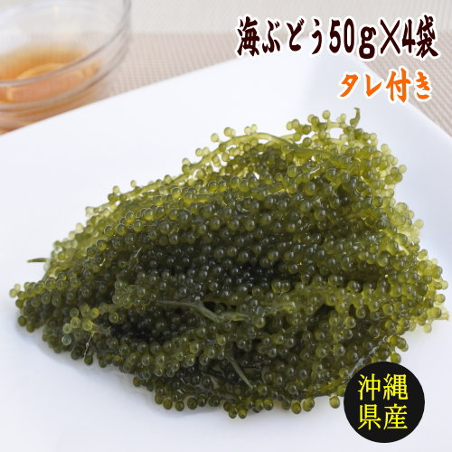 メール便送料無料 沖縄県産 海ぶどう 50g×4袋 化粧箱なし タレ付【沖縄 土産 沖縄土産 沖縄お土産】【月間優良ショップ】