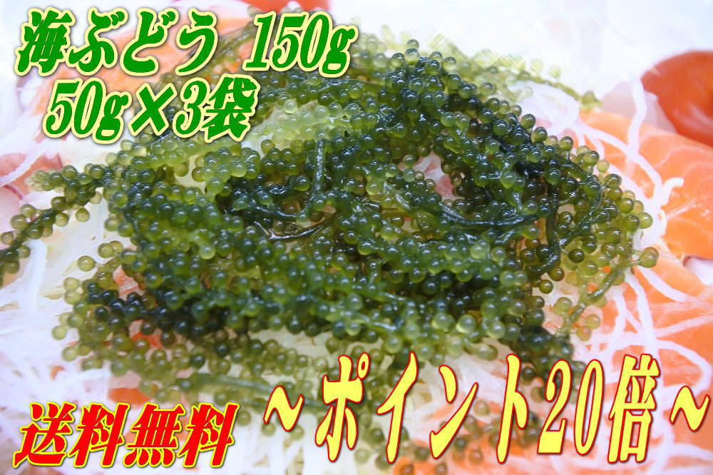 【ポイント20倍】【タレ付】メール便送料無料・代引不可・150g 沖縄県産 海ぶどう 50g×3袋 化粧箱なし【smtb-MS】【沖縄 土産 沖縄土産 沖縄お土産】【月間優良ショップ】