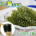 <5/1限定★2個以上の購入で最大ポイント20倍>沖縄県産 感謝の海ぶどう 50g×(2袋/3袋/4袋)タレ付 化粧箱なし ネコポス便送料無料【月間優良ショップ...