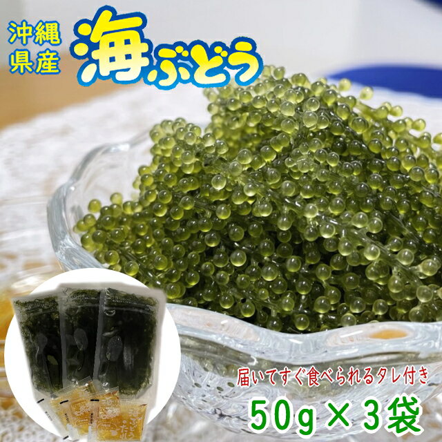 【10％OFF】沖縄県産 海ぶどう 50g×3袋 化粧箱なし タ...