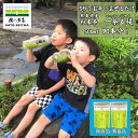 ＼29日9:59まで★8のつく日は『お茶っ葉の日』8%OFFクーポン／ 熊本県産 国産 パウダー 緑茶 日本茶 健康 粉末緑茶 プレゼント お茶 ペットボトル カテキン ポイント消化