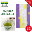 ＼5日18時～10％OFFクーポン・GWセール 5%OFFクーポン／新茶 【 上級深蒸し茶 八十八夜100g 特別パッケージ 】ご挨拶 お茶 プレゼント 日本茶 ギフト プレゼント ペットボトル 500ml カテキン 深蒸し茶 緑茶 転勤 転職 お返し