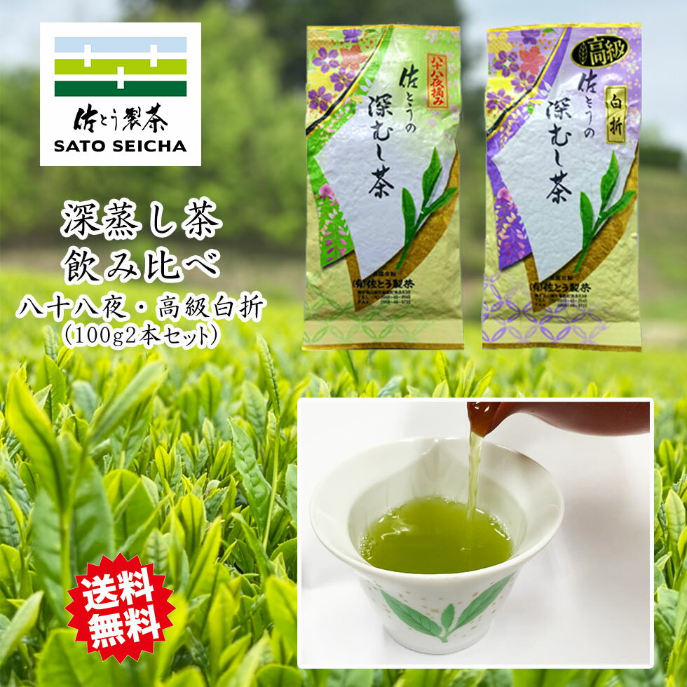 ＼16日まで！5％OFFクーポン／新茶 2800円相当 福袋 【 佐とうの深蒸し茶 上級茶 八十八夜 高級白折100g2本セット 】 工場直売 熊本県 敬老の日 ギフト プレゼント お茶 ペットボトル 500ml カテキン 深蒸し茶 緑茶