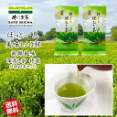 \4日20時スタート!5名様限定 1000円OFFクーポン★4時間限定 15%OFFクーポン/2025年 新茶 2400円相当 【 佐とうの深蒸し茶 特選100g2本セット 】 日本茶 自家用 深蒸し茶 熊本県 ギフト プレゼント お茶 ペットボトル 500ml ネコポス 緑茶 カテキン 深蒸し茶