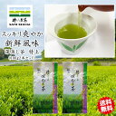 \4日20時スタート!5名様限定 1000円OFFクーポン★4時間限定 15%OFFクーポン/2025年 新茶 1900円相当【 佐とうの深蒸し茶 特上100g入2本セット】 熊本県 工場直売 母の日 ギフト プレゼント 孫 健康 長寿 お茶 ペットボトル 500ml カテキン 送料無料