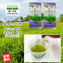 \4日20時スタート!5名様限定 1000円OFFクーポン★4時間限定 15%OFFクーポン/2025年 新茶 2400円相当【 佐とうの深蒸し茶 特選白折100g2本セット 】 日本茶 工場直売 自家用 深蒸し茶 熊本県 敬老の日 ギフト プレゼント お茶 ペットボトル 500ml 緑茶