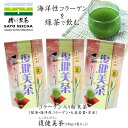 \18日〜20日 3日間限定!8%OFFクーポン/\期間限定!25%OFFセール/【 溶かすだけ の コラーゲン 入り 粉末茶 復健美茶100g 3袋 】 ギフ...