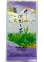 ＼GWセール 5%OFFクーポン／ 新茶 【 佐とうの 深蒸し茶 特選白折100g入 】 白折 茎茶 熊本県産 深蒸し茶 ギフト プレゼント 孫 健康 長寿 お茶 ペットボトル 500ml カテキン