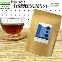 ＼30日限定！5%OFFクーポン／【やみつき！国産 自家製ほうじ茶ミント フレーバーティー30パック入 】 3000円相当 日本茶 ハーブティー ミント ティーパック ポイント消化 カテキン