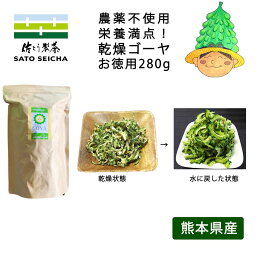 ＼29日9:59まで★8のつく日は『お茶っ葉の日』8%OFFクーポン／【 国産 乾燥ゴーヤ 280g お得用 農薬不使用 無添加 】 9,520円相当 2023年産 ゴーヤ ゴーヤ— 乾燥野菜 にがうり ビタミンC エラブ 料理に使える 工場直売 熊本県 乾燥ゴーヤ 送料無料