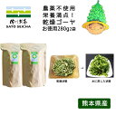 ＼19日9:59まで 8のつく日は『お茶っ葉の日』8%OFFクーポン／【 国産 乾燥ゴーヤ 280g 2個 業務用 農薬不使用 無添加 】19,040円相当 2023年産 ゴーヤ ゴーヤ— 乾燥野菜 にがうり ビタミンC エラブ 料理に使える 工場直売 熊本県 乾燥ゴーヤ