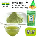 ＼27日まで！3％OFFクーポン／【国産 ゴーヤ 粉末100g 農薬不使用 無添加 】2,200円相当 ゴーヤ粉末 ゴーヤ— パウダー にがうり ビタミンC エラブ 健康 長寿 工場直売 熊本県 送料無料 ネコポス