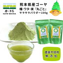 ＼27日まで！3％OFFクーポン／【 国産 ゴーヤ 粉末100g 2袋セット 農薬不使用 無添加 】4,400円相当 ゴーヤ ゴーヤ— パウダー 無添加 農薬不使用 にがうり ビタミンC エラブ 健康 工場直売 熊本県 送料無料 ネコポス