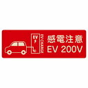 EV車 充電 充電ステーション プレート 木製 車＆バッテリー EV 200V レッド 長方形 12x4cm 18x6cm 27x9cm 安全対策 注意喚起 感電注意 サインプレート チャージ 電気自動車 充電ポート 充電スタンド 充電ステーション ピクトサイン 表示 案内 場所 看板 おしゃれ シンプル