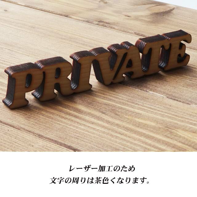 �ɥ��ץ졼�� �ץ饤�١���PRIVATE �񻺥ҥΥ���ȴ���� ������ץ졼�� �ڤ�ʸ�� �᡼���ز�