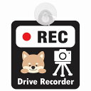 セーフティサイン アニマル いぬ ブラック REC Drive Recorder ドライブレコーダー 録画 車内用 後方 吸盤タイプ 煽り運転対策 収れん火災防止タイプ 安全対策 カーサイン 吸盤