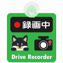 セーフティサイン 犬 黒柴 録画中 Drive Recorder グリーン 吸盤タイプ あおり運転 対策 自動車 収れん火災防止タイプ 安全対策