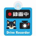 セーフティサイン 犬 黒柴 録画中 Drive Recorder ブルー 吸盤タイプ あおり運転 対策 自動車 収れん火災防止タイプ 安全対策