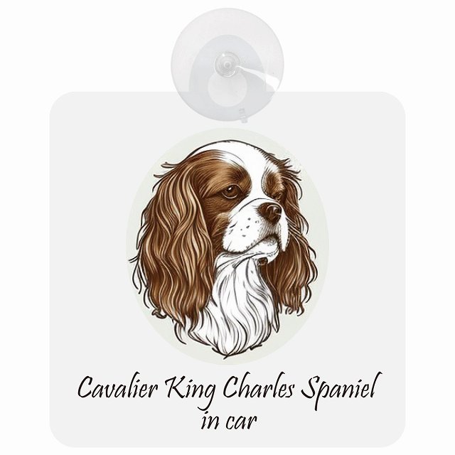 Cavalier King Charles Spaniel キャバリアキングチャールズスパニエル Aタイプ 車 窓ガラス 吸盤タイプ 犬 かっこいい おしゃれ イラスト付 DOG IN CAR ドッグインカー ドッグオンボード 安全対策 セーフティサイン デコ 外出 ドライブ