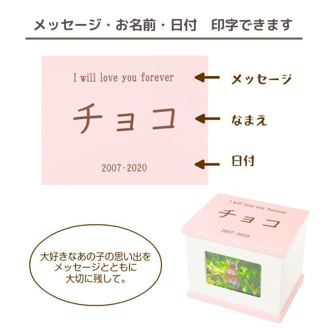 Ramdy�ʥ��ǥ��� �ڥåȶ��� �ڥå�ʩ�� �ڥå��Ѱ������ ���ꥢ��ܥå��� ̾�����ǽ �긵������ ��������ѥ���ʩ�� �� ǭ �������б� �̿��ե졼���դ� ���� �ķ� �������� �ڥåȥ��ꥢ�륰�å� �ڥå� ���� ���ζ��ε�ǰ�� ������� 2�� 3�� 4����