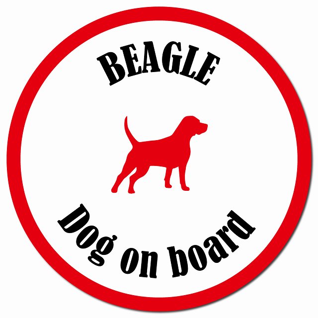 カラフル Dog on board ビーグル ホワイト＆レッド カーサイン 車 マグネットステッカー