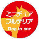 Dog in car ミニチュアブルテリア レトロ書体 レッドオレンジ カーサイン 車 マグネットステッカー 犬 マグネット 強力 直径13cm 丸型 おしゃれ かわいい ドラレコステッカー 安全対策 危険運転 煽り運転 アニマル 動物 犬種別 屋外 防水 屋内(2)