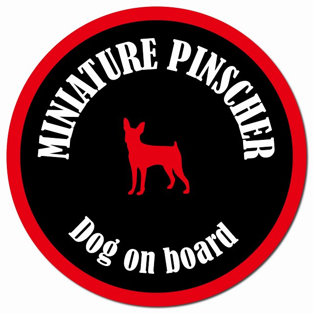 カラフル Dog on board ミニチュアピンシャー ブラック&レッド カーサイン 車 マグネッ