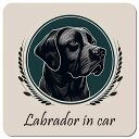 イラスト付 Dog in Car ラブラドール Bタイプ カーサイン 車 マグネットステッカー 犬 マグネット 強力 13x13cm 正方形 おしゃれ かわいい ドラレコステッカー 安全対策 危険運転 煽り運転 アニマル 動物 犬種別 屋外 防水 屋内(2)