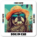 海 麦わら帽子 サングラス 夏 Pekingese ペキニーズ カーサイン 車 マグネットステッカー 犬 マグネット 強力 13x13cm 正方形 おしゃれ かわいい ドラレコステッカー 安全対策 危険運転 煽り運転 アニマル 動物 犬種別 屋外 防水 屋内