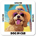 海 麦わら帽子 サングラス 夏 Cavapoo キャバプー カーサイン 車 マグネットステッカー 犬 マグネット 強力 13x13cm 正方形 ドラレコステッカー 安全対策 危険運転 煽り運転 アニマル 動物 屋外 防水 屋内