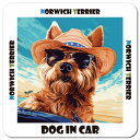 海 麦わら帽子 サングラス 夏 Norwich Terrier ノーリッチテリア カーサイン 車 マグネットステッカー 犬 マグネット 強力 13x13cm 正方形 ドラレコステッカー 安全対策 危険運転 煽り運転 アニマル 動物 屋外 防水 屋内
