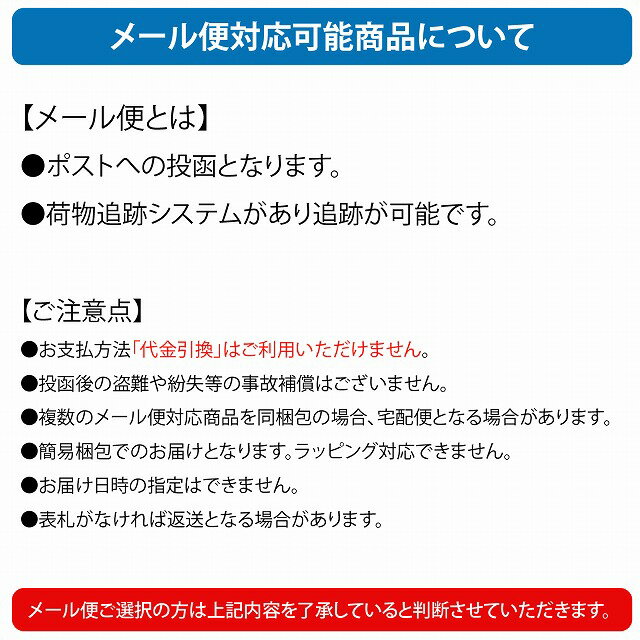 ポケットオーガナイザー専用ストラップ/ナース オーガナイザー