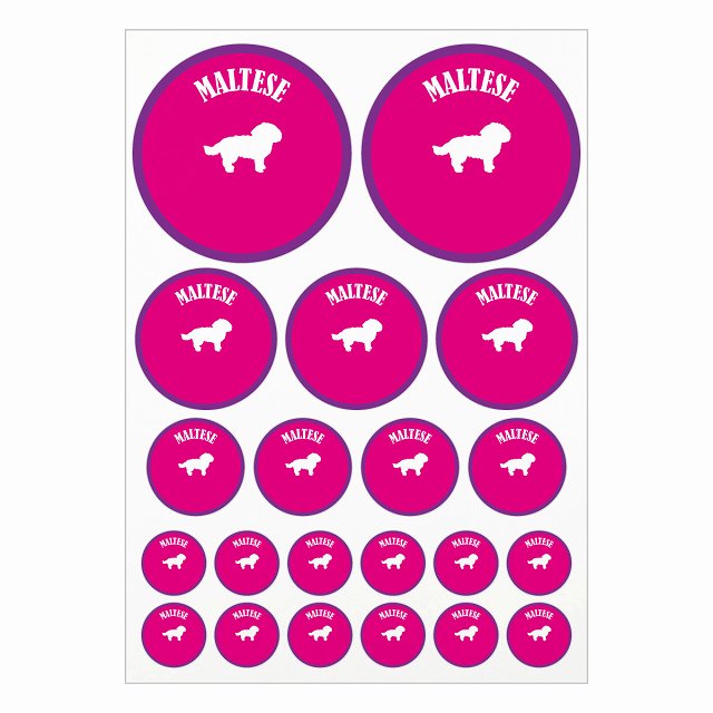 ドッグ ステッカー カラフル マルチーズ ピンク＆パープル A4サイズ まとめて詰め合わせ サイズ別 丸型 21枚セット 犬種別 シール カーステッカー 愛犬 キャンプ 持ち物 ドッグフード用 屋外 屋内 防水 かわいい おしゃれ