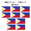 30x17mm 10祻å եԥ Philippine  ƥå  National Flag   